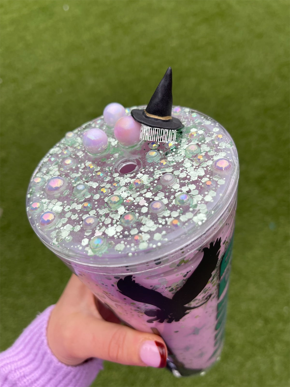 WICKED inspired Snowglobe Tumbler